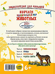 Exploring the amazing world of animals