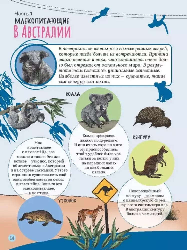 Die erstaunliche Welt der Tiere entdecken