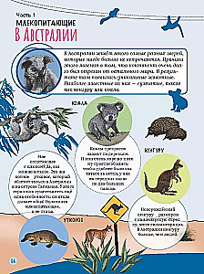 Die erstaunliche Welt der Tiere entdecken