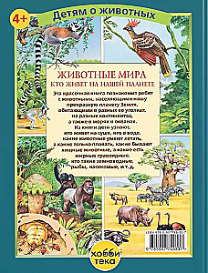 Animals of the World. Who Lives on Our Planet
