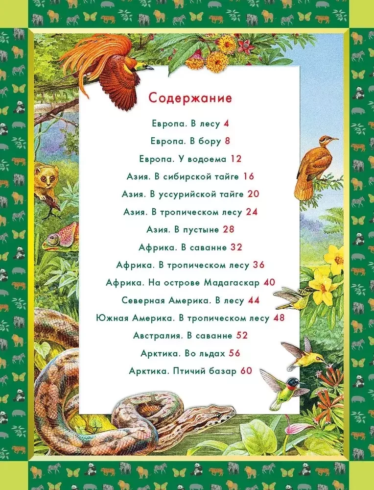 Animals of the World. Who Lives on Our Planet