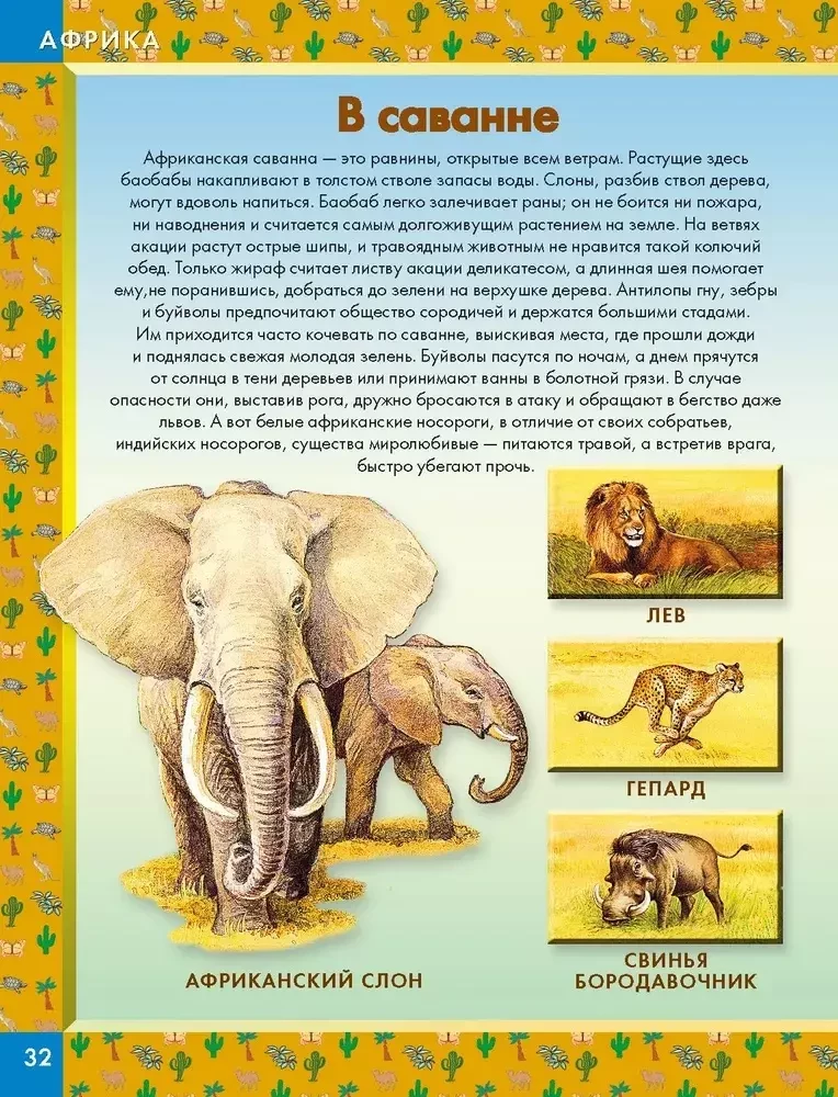 Animals of the World. Who Lives on Our Planet