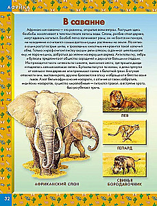 Animals of the World. Who Lives on Our Planet