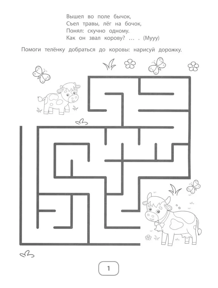 IQ Puzzles and Mimic Mazes