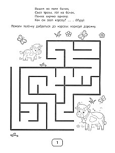IQ Puzzles and Mimic Mazes
