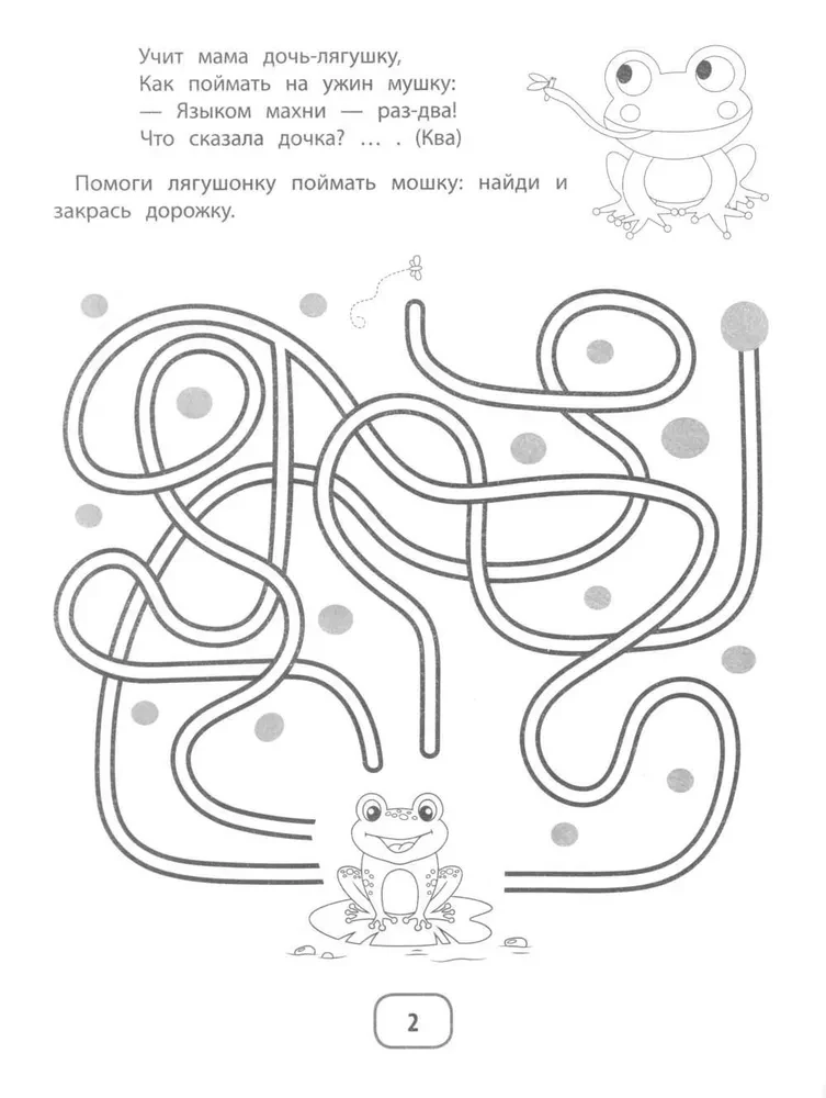 IQ Puzzles and Mimic Mazes