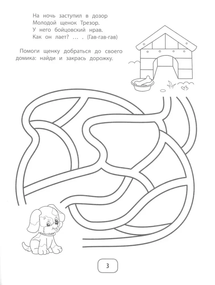 IQ Puzzles and Mimic Mazes
