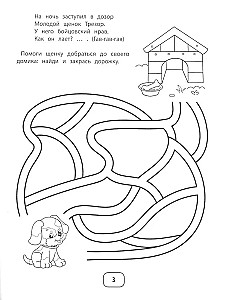 IQ Puzzles and Mimic Mazes