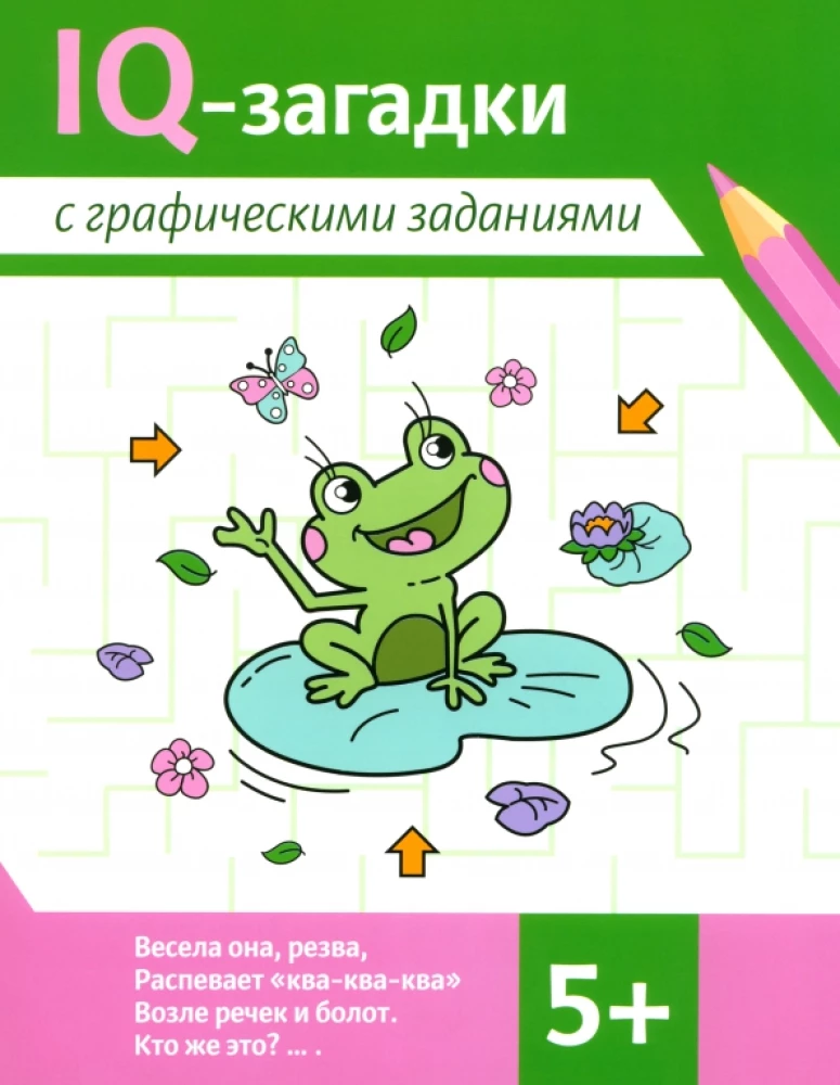 IQ puzzles with graphic tasks