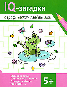 IQ puzzles with graphic tasks