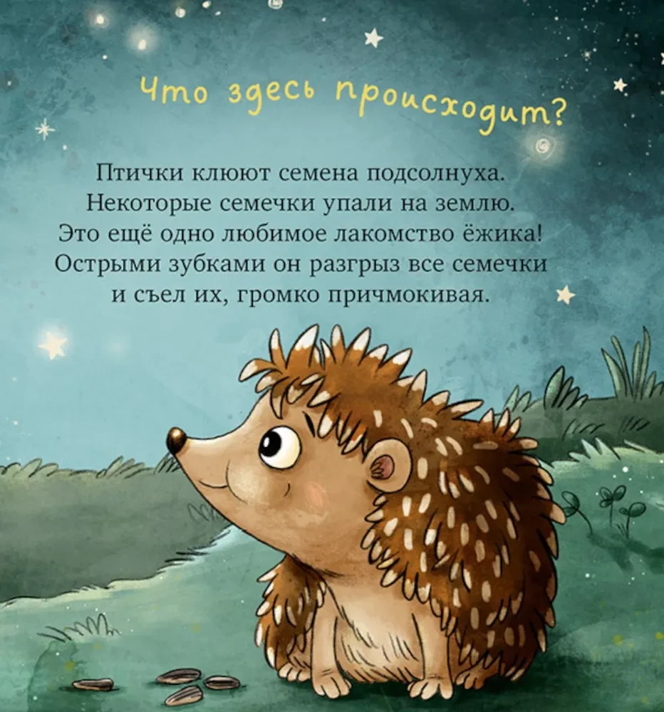 The Hedgehog in the Garden. The First Book for a Little One about Nature