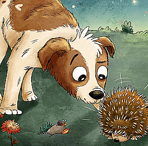 The Hedgehog in the Garden. The First Book for a Little One about Nature