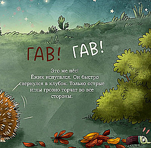 The Hedgehog in the Garden. The First Book for a Little One about Nature