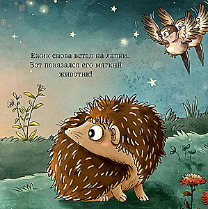 The Hedgehog in the Garden. The First Book for a Little One about Nature