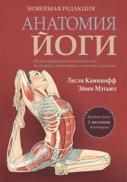 Anatomia jogi. Nowa edycja