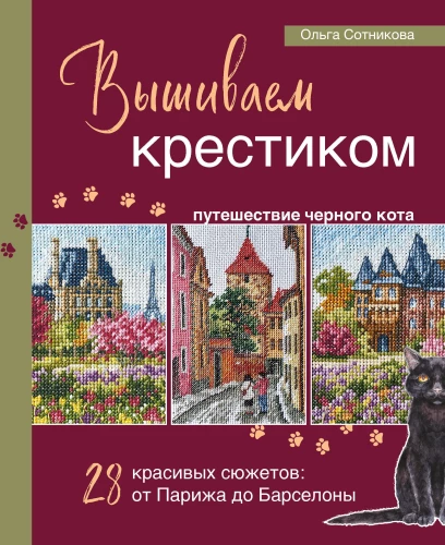 Embroidery Journey of the Black Cat