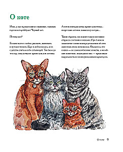 Embroidery Journey of the Black Cat