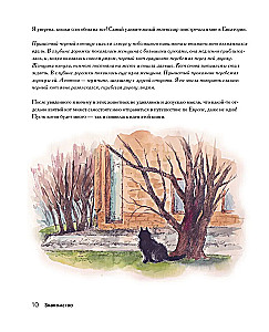 Embroidery Journey of the Black Cat