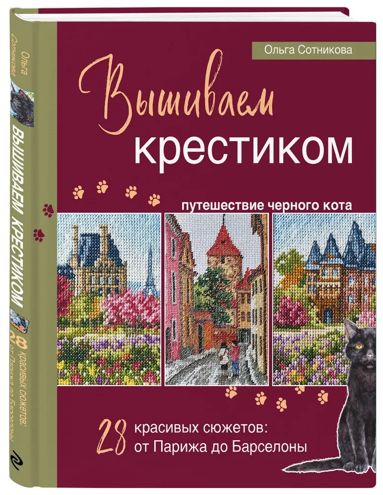 Embroidery Journey of the Black Cat