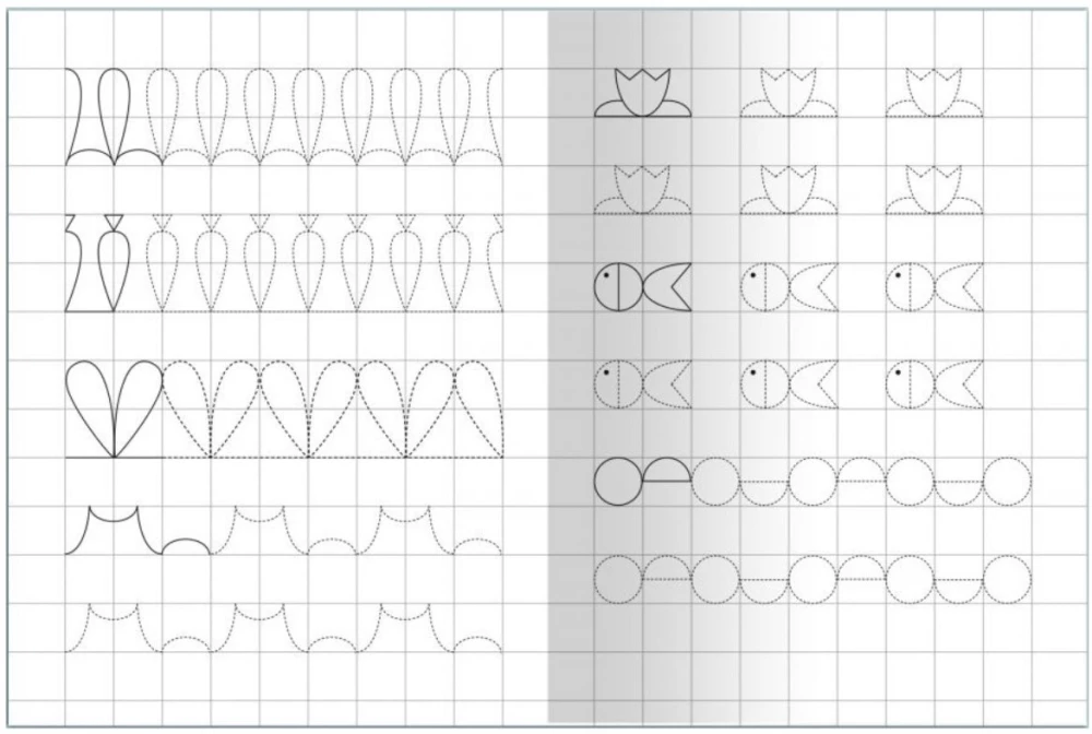 Notebook with Tracing. Drawing Along the Contours