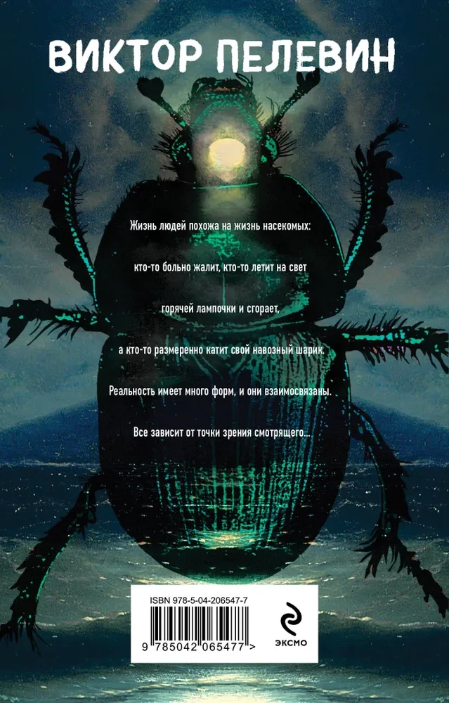 The Life of Insects