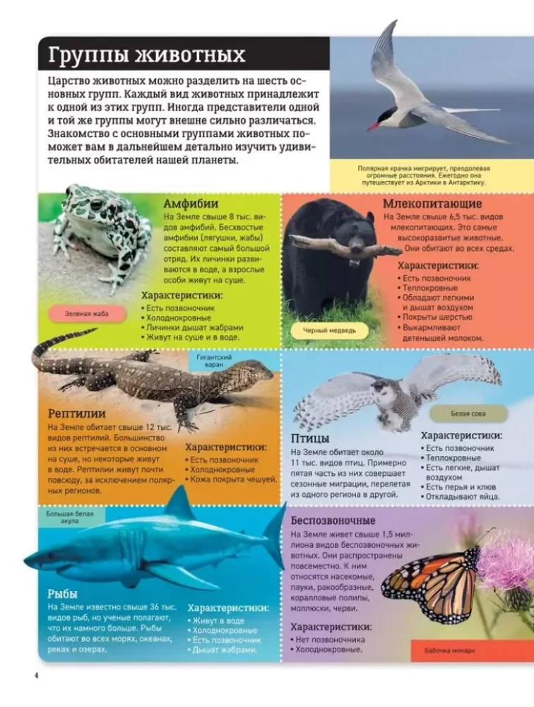 Children's Atlas. Animals of the World