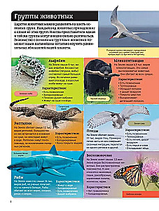 Children's Atlas. Animals of the World