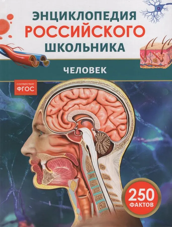 Człowiek. Encyklopedia rosyjskiego ucznia