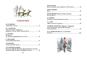 Fairy Tale New Year Book