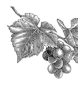 On Nature