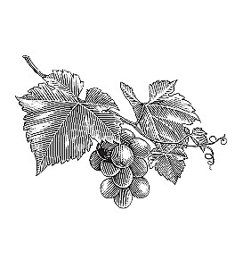 On Nature