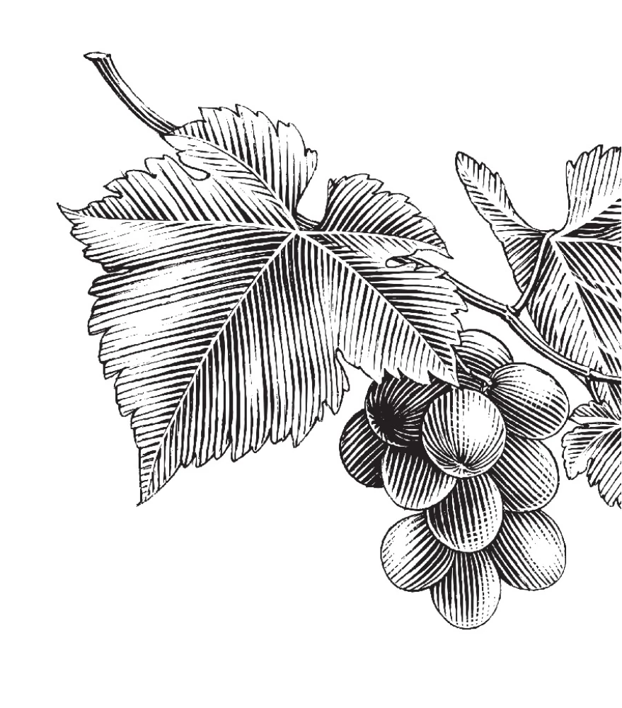 On Nature