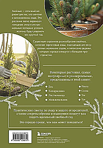 Luxurious Conifers