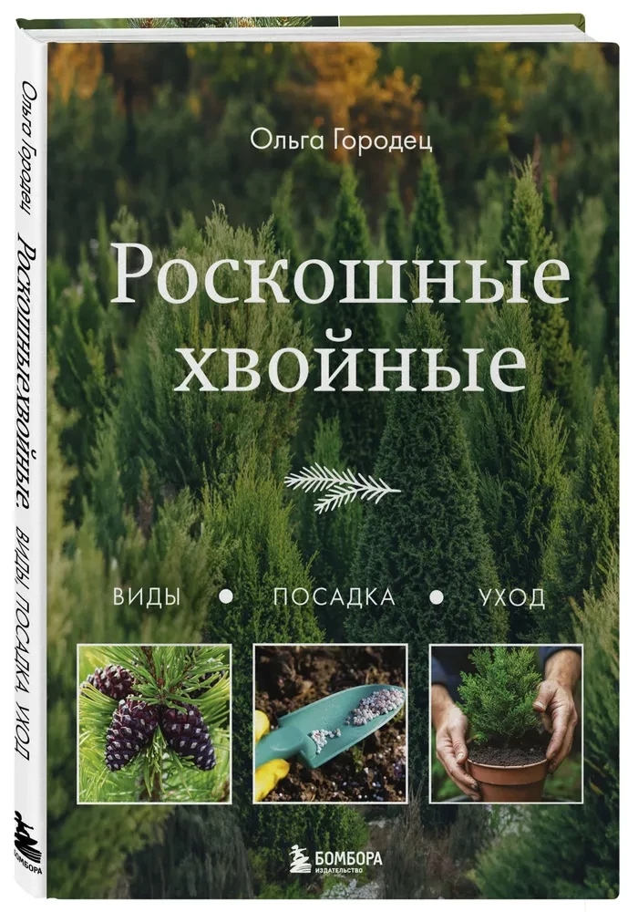 Luxurious Conifers