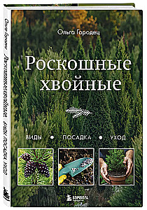 Luxurious Conifers
