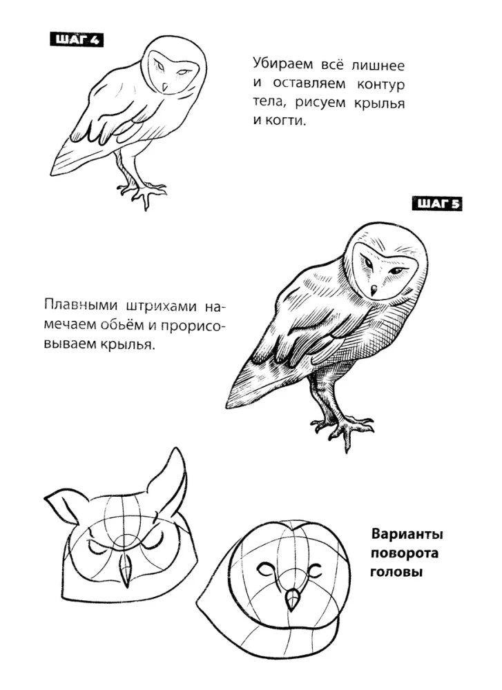 Скетчбук А5 уроки рисования по шагам. Животные