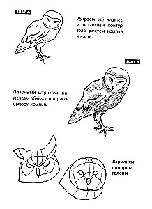 Скетчбук А5 уроки рисования по шагам. Животные