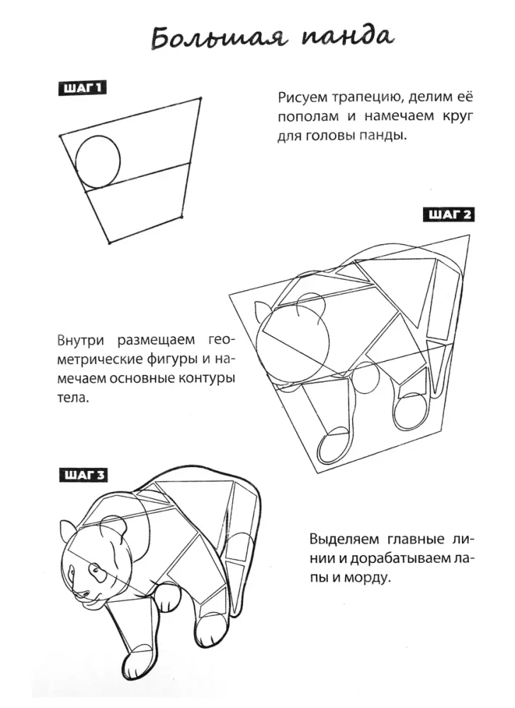 Скетчбук А5 уроки рисования по шагам. Животные