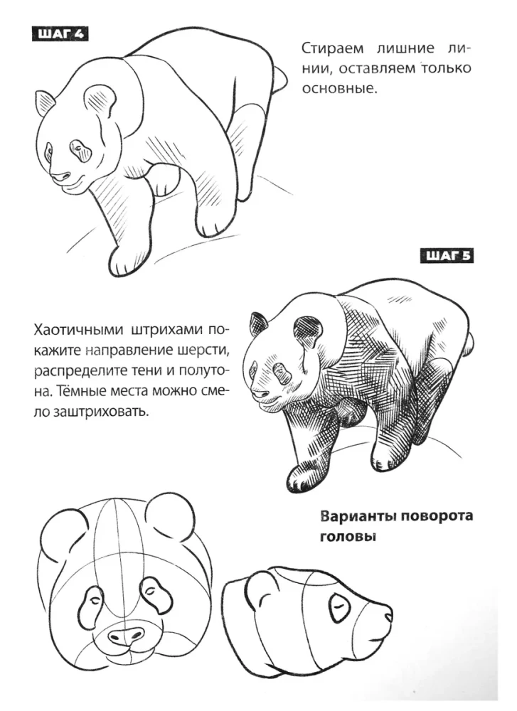 Скетчбук А5 уроки рисования по шагам. Животные