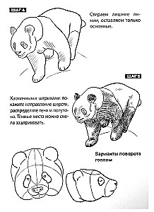 Скетчбук А5 уроки рисования по шагам. Животные