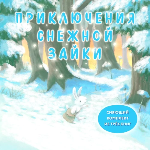 Set of Three Books - Adventures of the Snow Bunny