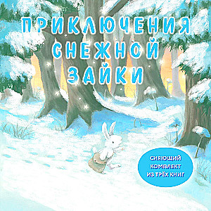 Set of Three Books - Adventures of the Snow Bunny