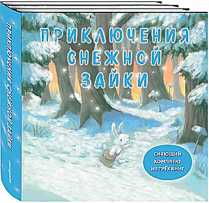 Set of Three Books - Adventures of the Snow Bunny