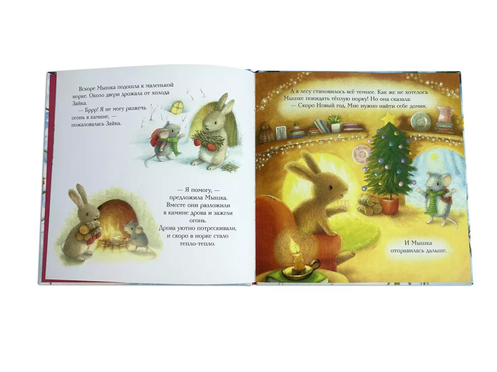 Set of Three Books - Adventures of the Snow Bunny