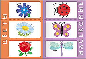 School of Seven Dwarfs. Basic Course. Set 1+