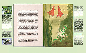 The Traveling Frog