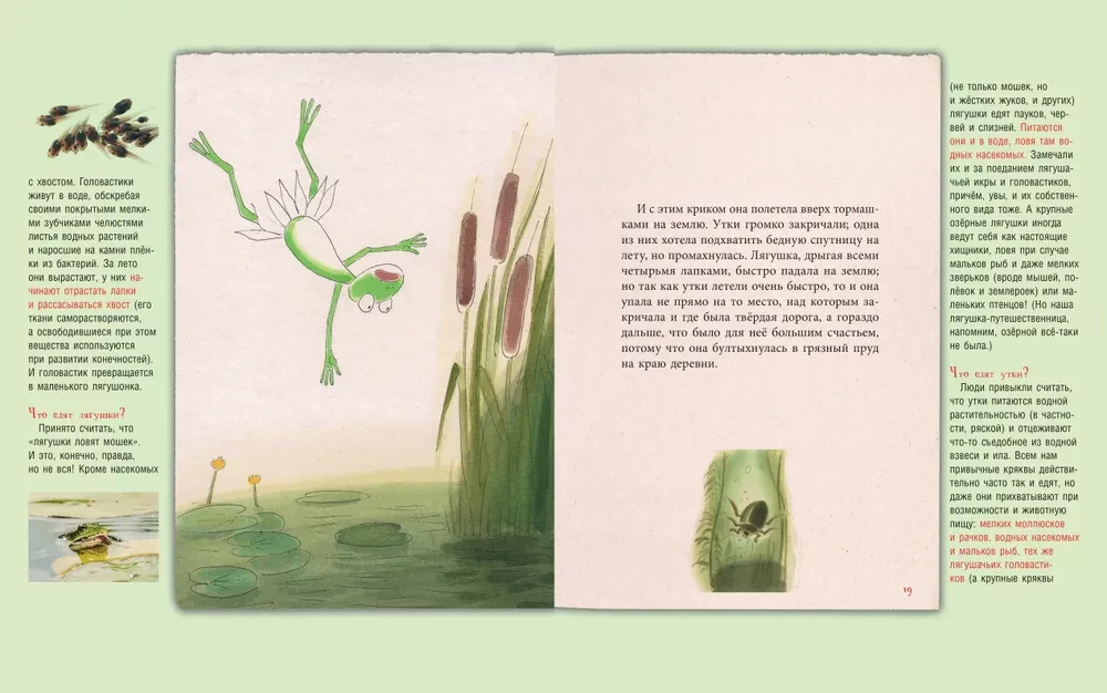 The Traveling Frog