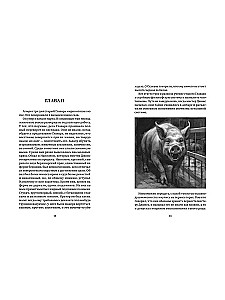 Animal Farm