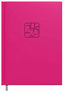 Planner 2025 Business Classic (LV)