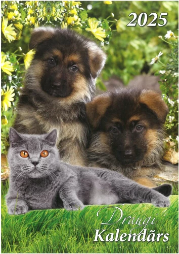 Sienas kalendārs 2025. g. A4 Draugi